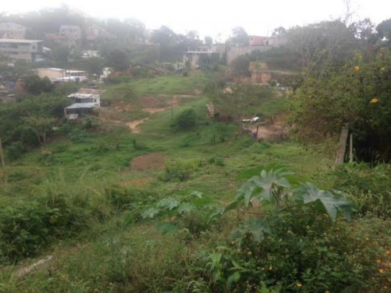 Foto Terreno en Venta en El Hatillo, Caracas, Distrito Federal - TEV110149 - BienesOnLine