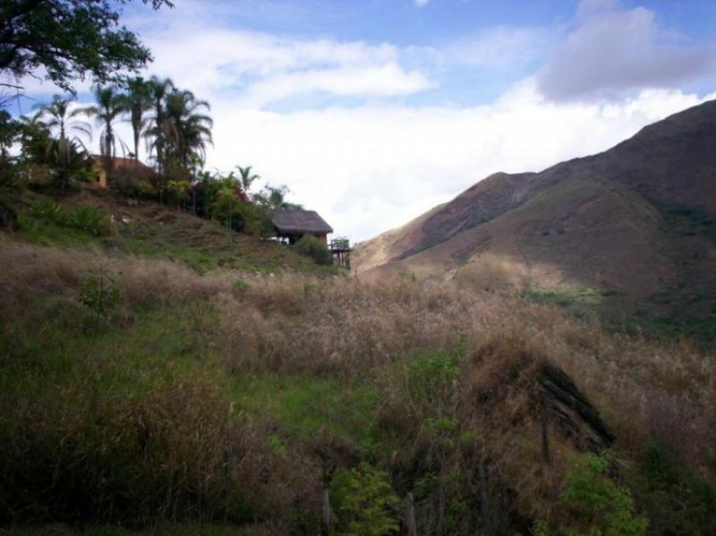 Foto Terreno en Venta en La Victoria, Aragua - BsF 12.000.000 - TEV65665 - BienesOnLine