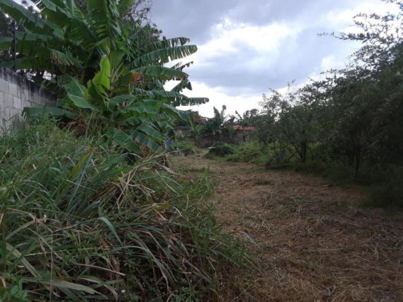 Foto Terreno en Venta en Las morochas I, Las morochas I, Carabobo - U$D 19.000 - TEV137589 - BienesOnLine