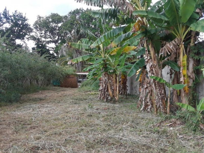 Foto Terreno en Venta en Las morochas I, Las morochas I, Carabobo - U$D 19.000 - TEV138129 - BienesOnLine