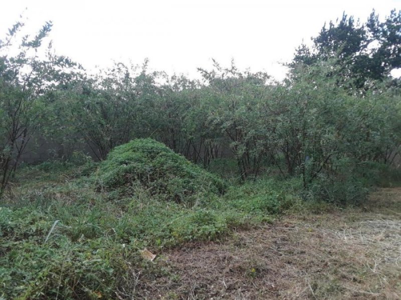 Foto Terreno en Venta en Las morochas I, San Diego, Carabobo - U$D 19.000 - TEV139318 - BienesOnLine