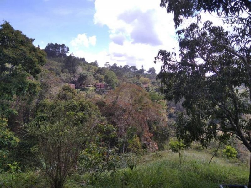 Terreno en Venta en Los Guayabitos Nuestra Señora del Rosario de Baruta, Miranda