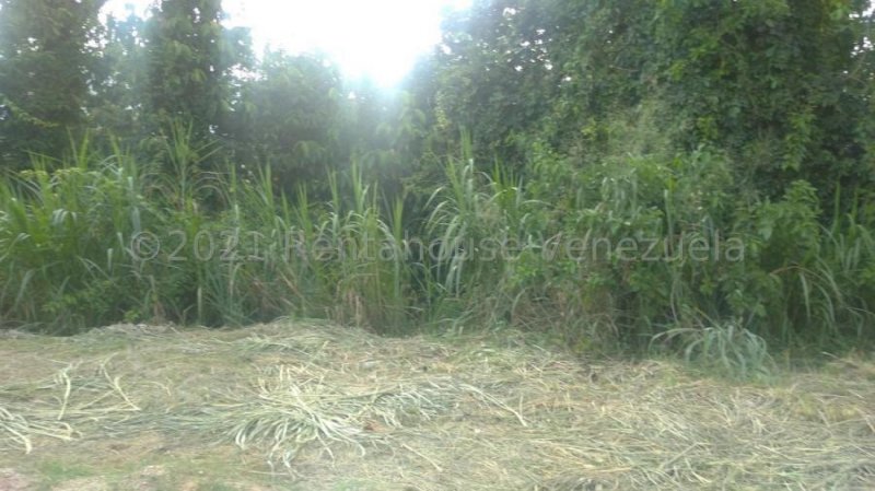 Foto Terreno en Venta en Pueblo de San Diego, San Diego, Carabobo - U$D 250.000 - TEV162773 - BienesOnLine