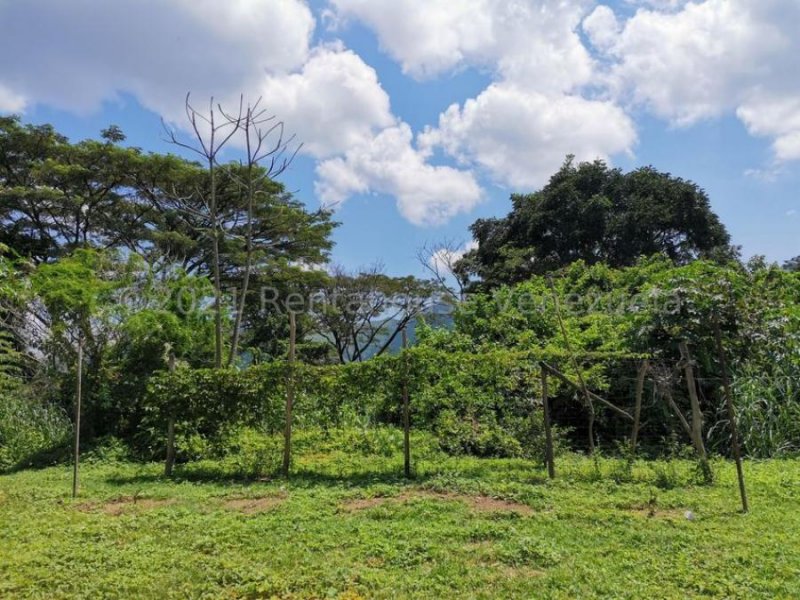 Foto Terreno en Venta en Pueblo de San Diego, San Diego, Carabobo - U$D 300.000 - TEV162764 - BienesOnLine