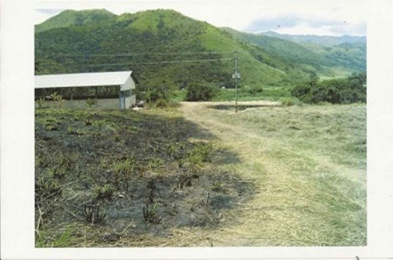 Foto Terreno en Venta en Las Tejerías, Aragua - BsF 15.000.000 - TEV48796 - BienesOnLine