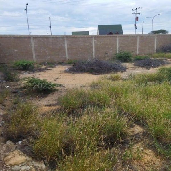 Foto Terreno en Venta en Punto Fijo, Falcón - U$D 14.499 - TEV188224 - BienesOnLine