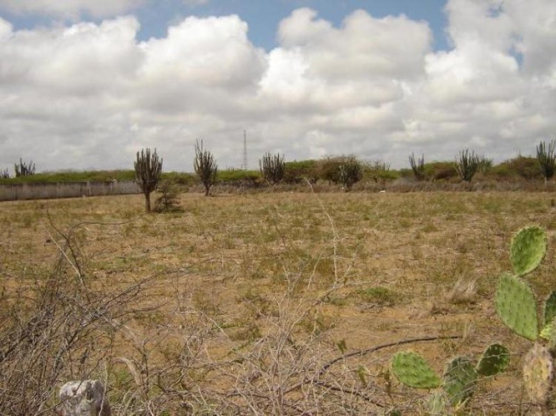 Foto Terreno en Venta en Punto Fijo, Falcón - BsF 46.000 - TEV29909 - BienesOnLine