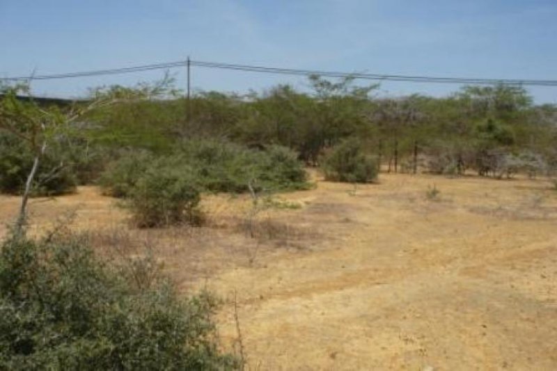 Foto Terreno en Venta en Punto Fijo, Falcón - BsF 50.000 - TEV30992 - BienesOnLine