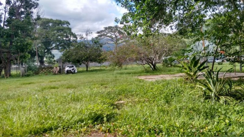 Foto Terreno en Venta en san diego, San Diego, Carabobo - 3 hectareas - U$D 1.750.000 - TEV131437 - BienesOnLine