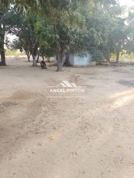 TERRENO GRANJA EN VENTA EN LOS BUCARES MARACAIBO API 6929