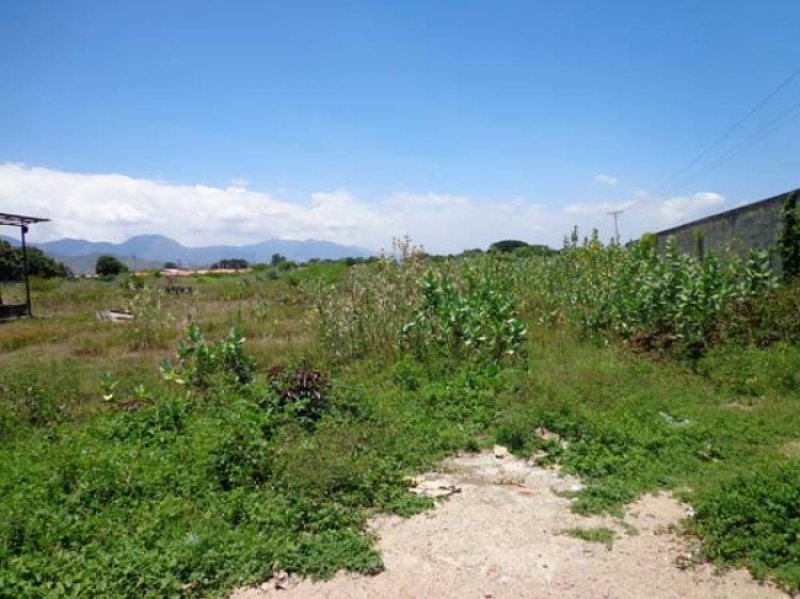 Foto Terreno en Venta en Guacara, Carabobo - BsF 5.700.000 - TEV44327 - BienesOnLine