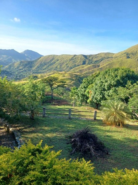 Terreno Multipropósito en Venta Sector Carútico San Casimiro Estado Aragua