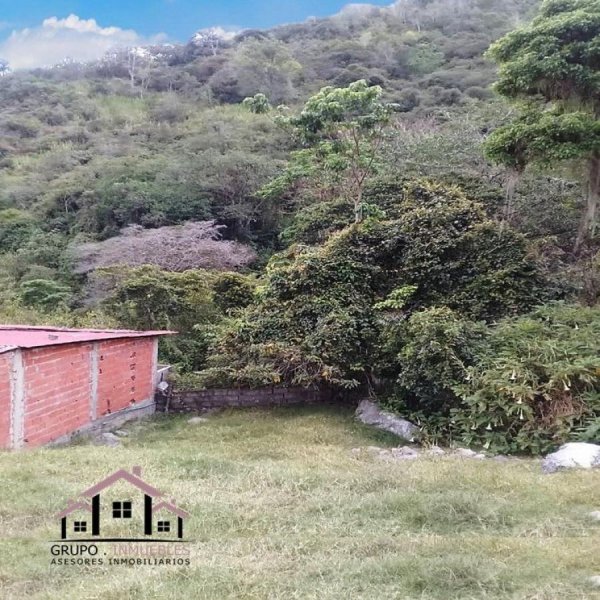 Terreno en Venta en Municipio Campo Elias Ejido, Mérida