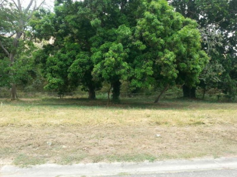 Foto Terreno en Venta en La Cumaca, San Diego, Carabobo - BsF 25.800.000 - TEV64540 - BienesOnLine