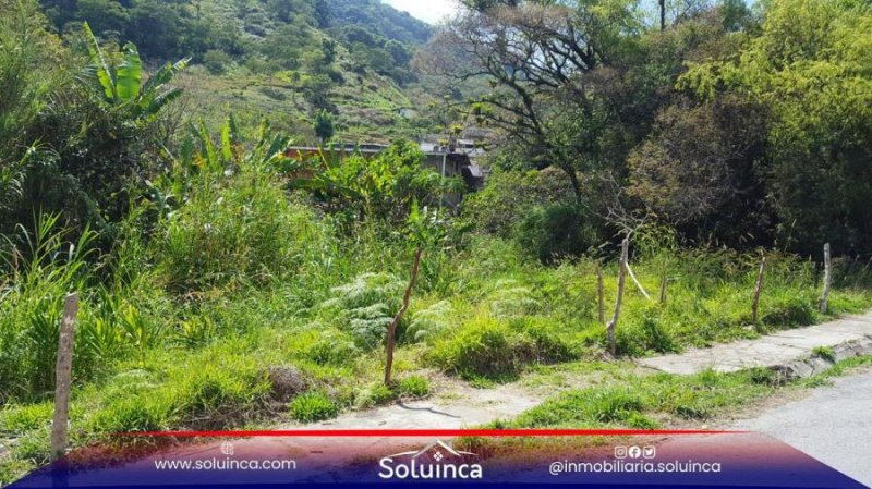 Foto Terreno en Venta en Libertador, Merida La hechicera, Mérida - U$D 4.990 - TEV114638 - BienesOnLine