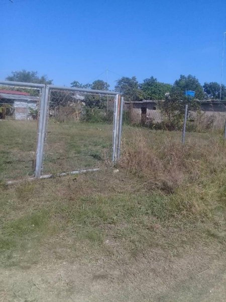 Terreno Tinaquillo Sector La Floresta Sabana Grande Estado Cojedes