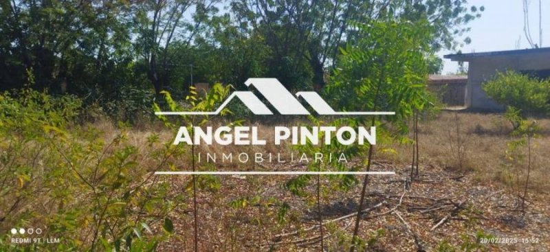 TERRENO VENTA EN SAN ISIDRO MARACAIBO API 6880