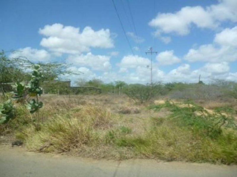 Foto Terreno en Venta en guanadito, Punto Fijo, Falcón - BsF 135.000 - TEV45995 - BienesOnLine