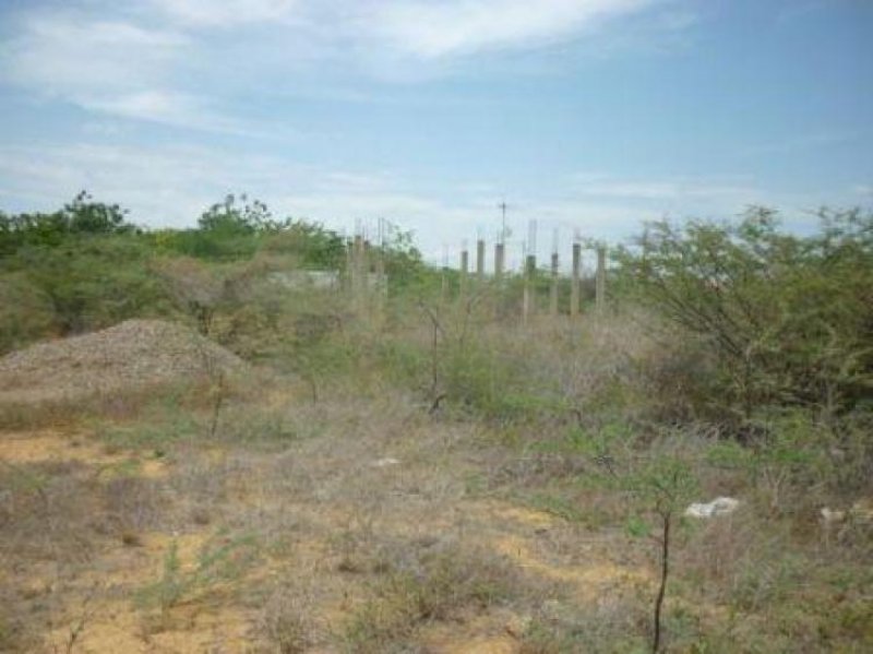 Foto Terreno en Venta en guanadito sur, Punto Fijo, Falcón - BsF 130.000 - TEV40551 - BienesOnLine