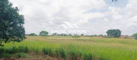 Terreno en Venta en  Acarigua, Portuguesa