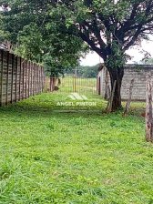 Terreno en Venta en  Acarigua, Portuguesa