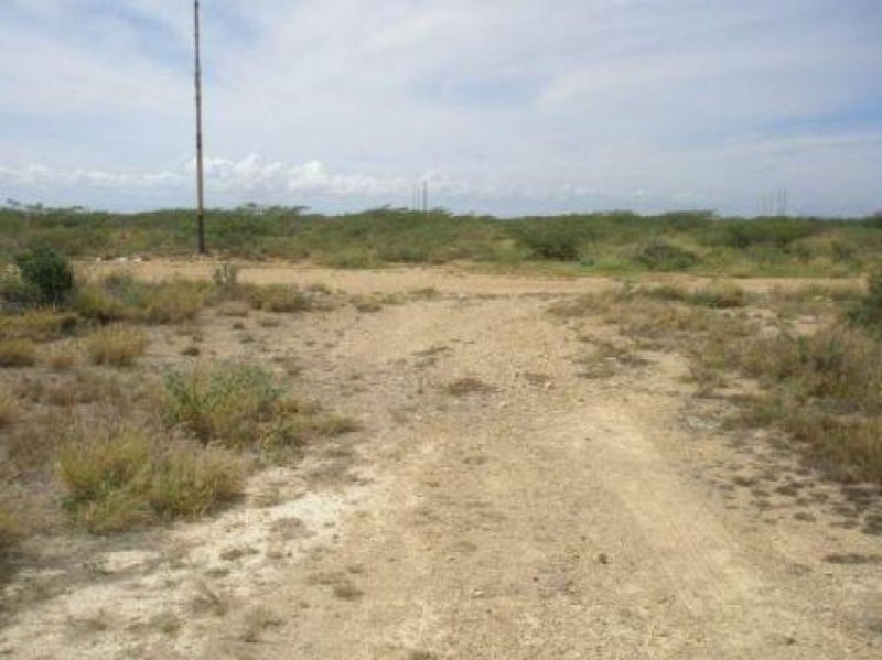 Foto Terreno en Venta en puerta maraven, Punto Fijo, Falcón - BsF 75.000 - TEV43168 - BienesOnLine