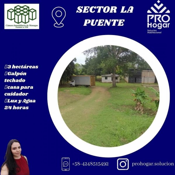 TERRENO Y GALPÓN EN VENTA MATURIN 