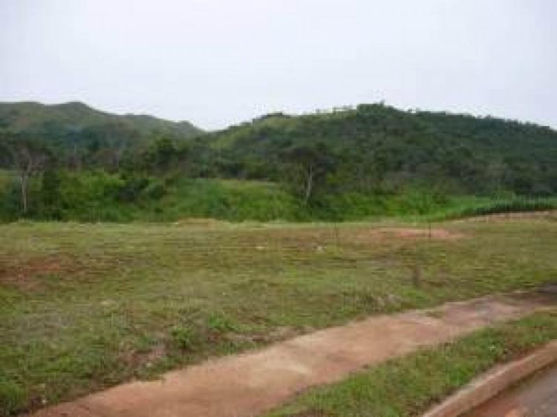 Foto Terreno en Venta en Valencia, Carabobo - BsF 720.000 - TEV26671 - BienesOnLine