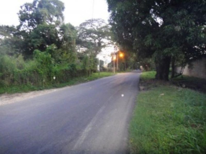 Foto Terreno en Venta en San Diego, Carabobo - BsF 1.300.000 - TEV28001 - BienesOnLine