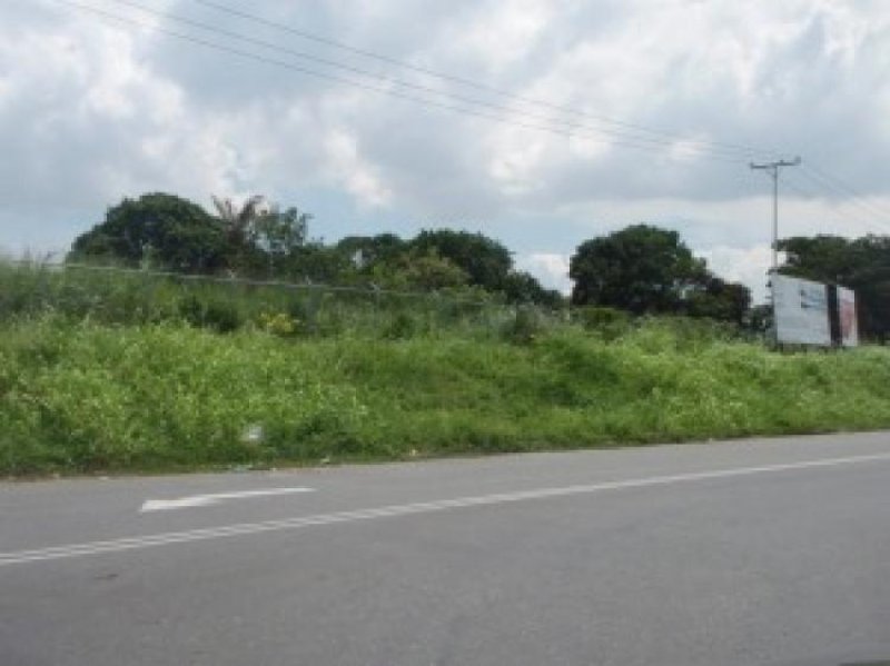 Foto Terreno en Venta en Valencia, Carabobo - BsF 2.147.483.647 - TEV29997 - BienesOnLine