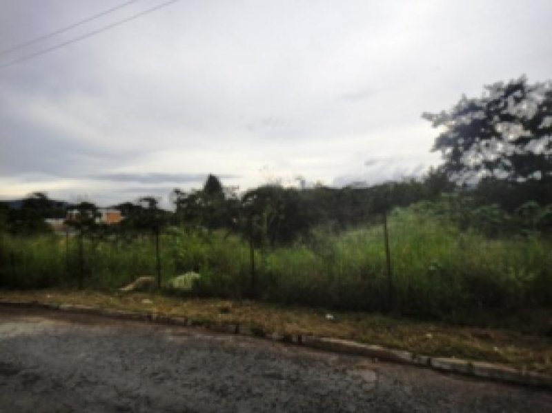 Foto Terreno en Venta en Valencia, Carabobo - BsF 1.250.000 - TEV31267 - BienesOnLine