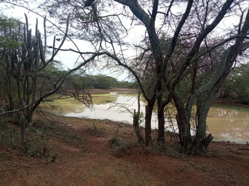 Finca en Venta en  Carora, Lara