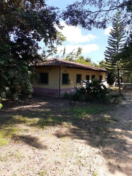 Vende finca en Nirgua, Yaracuy, 50 hectáreas planas, de oportunidad.