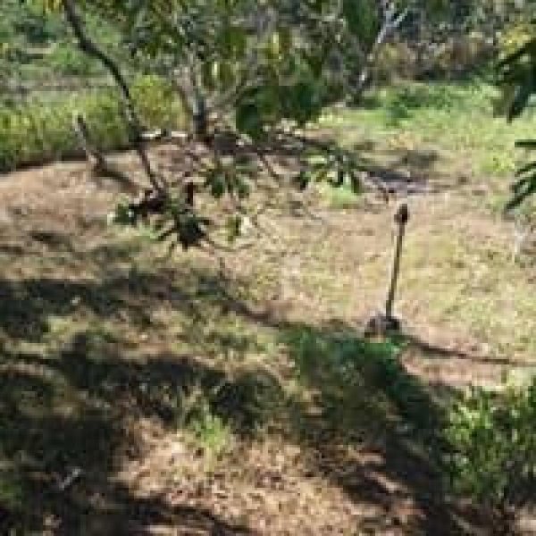 Finca en Venta en  Nirgua, Yaracuy