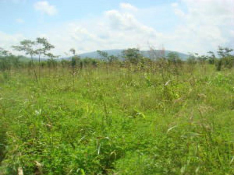 Foto Terreno en Venta en Yaritagua, Yaracuy - BsF 6.000.000 - TEV83857 - BienesOnLine