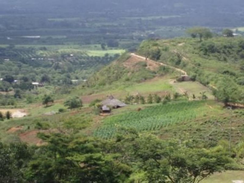 Terreno en Venta en Salom Sector La Herrera, Yaracuy