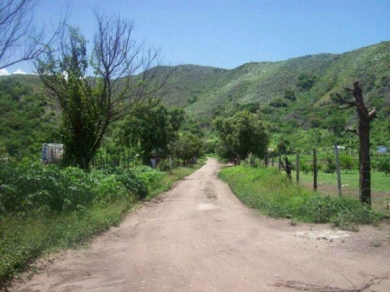 Foto Terreno en Venta en San Joaquín, Carabobo - BsF 3.696.000 - TEV78892 - BienesOnLine