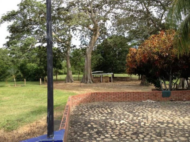 Foto Finca en Venta en Barinas, Barinas - BsF 4.000.000 - FIV141904 - BienesOnLine