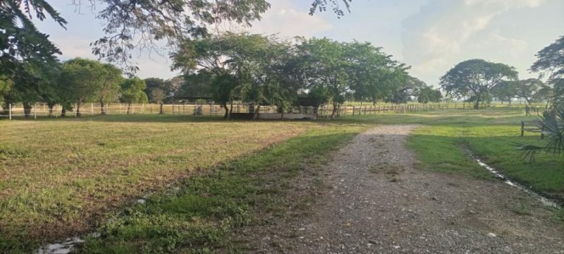 Hacienda en Venta en Ospino Ospino, Portuguesa