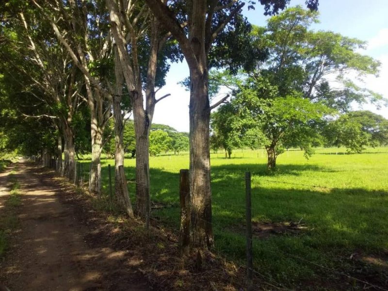 Foto Finca en Venta en Abejales, Táchira - U$D 1.430.000 - FIV141917 - BienesOnLine