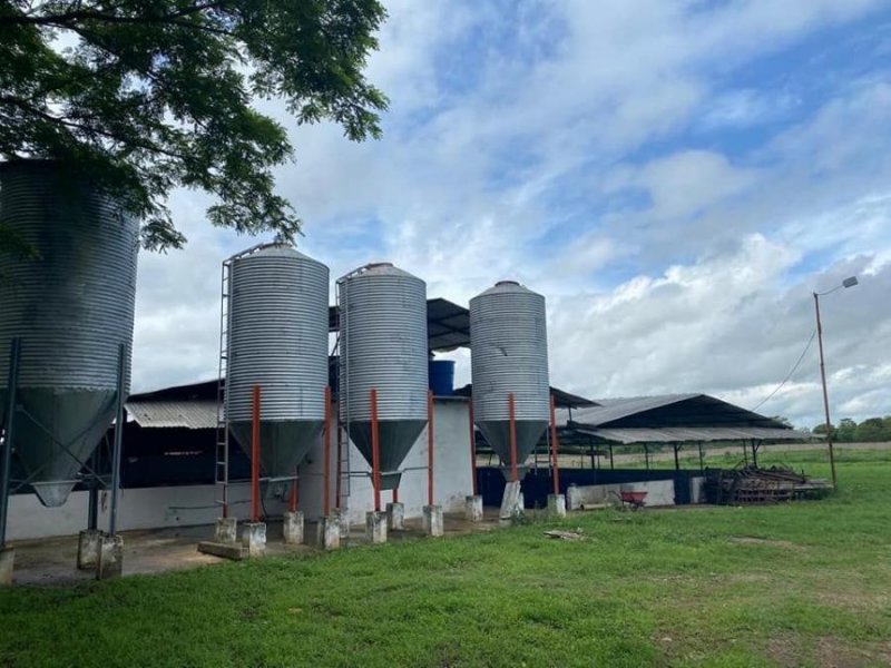 Hacienda en Venta en  Acarigua, Portuguesa