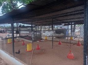 Finca en Venta en  Ciudad Guayana, Bolívar