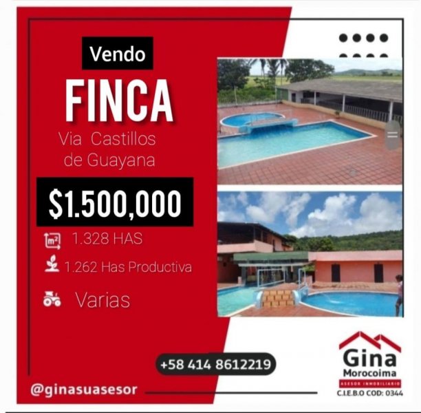 Foto Finca en Venta en San Felix, Castillos de Guayana, Bolívar - U$D 1.500.000 - FIV200959 - BienesOnLine