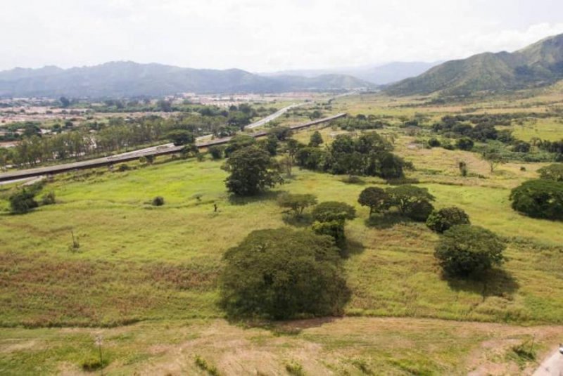 VENDO LOTES DE TERRENOS 