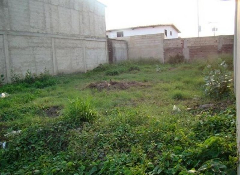 Foto Terreno en Venta en maracay, Maracay, Aragua - BsF 295.000 - TEV21105 - BienesOnLine