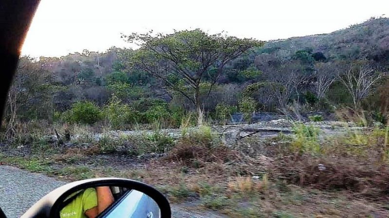 Terreno en Alquiler en Municipio Zamora KEMPIS, Miranda