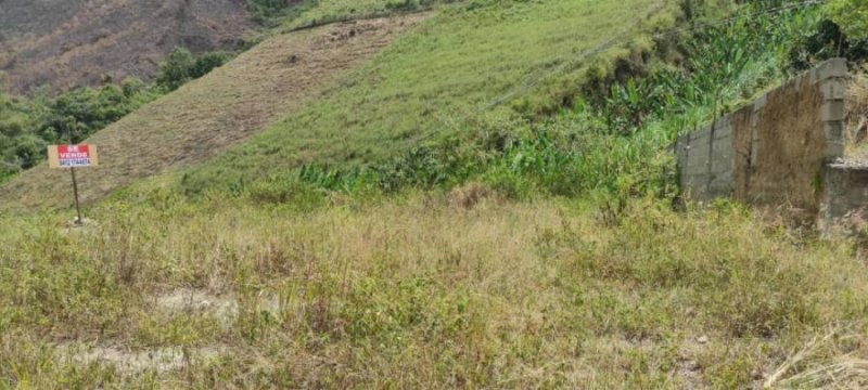 Terreno en Venta en LA PUERTA Valera, Trujillo