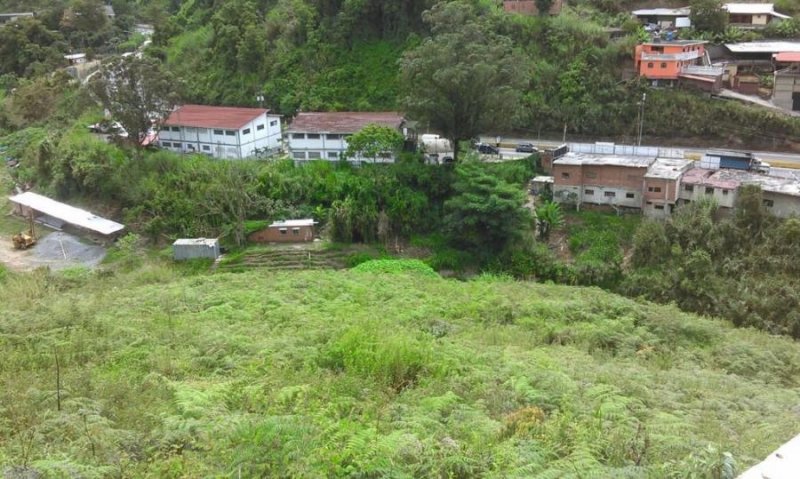 Terreno en Venta en  Carrizal, Miranda