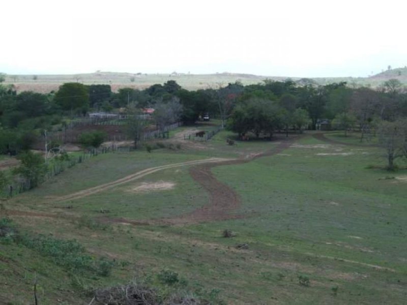 Terreno en Venta en cedeño Maturín, Monagas