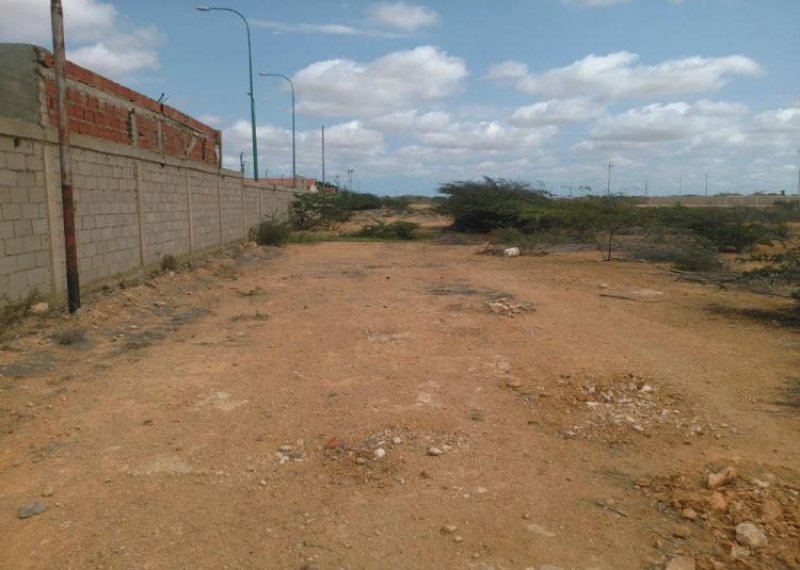 Foto Terreno en Venta en Punto Fijo, Falcón - TEV77636 - BienesOnLine